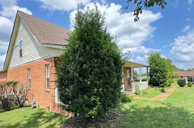 J.A.M Tree Service