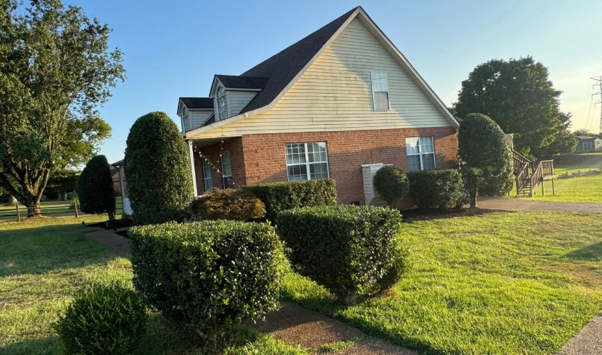 Hedge Trimming